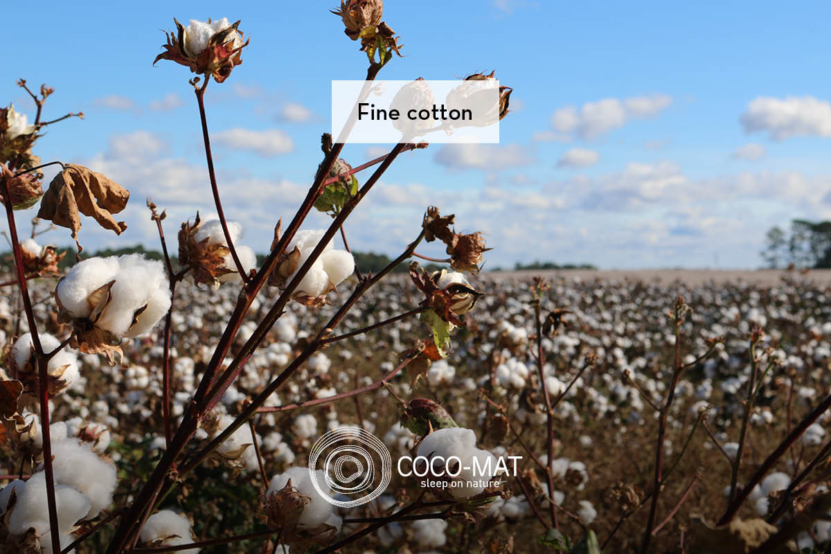COCO-MAT Baumwollfeld mit dem Schriftzug Fine cotton